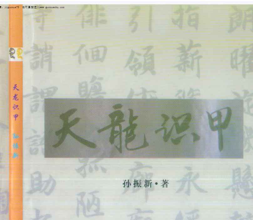251102《天龙识甲》214页 孙振新插图 251102《天龙识甲》214页 孙振新插图