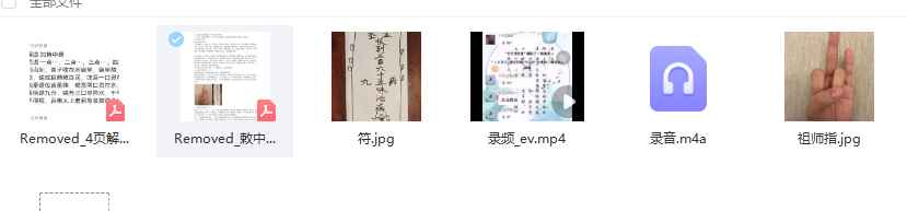 董理延济世道人十方济世堂勅中药法门录音+视频+符图+文档插图