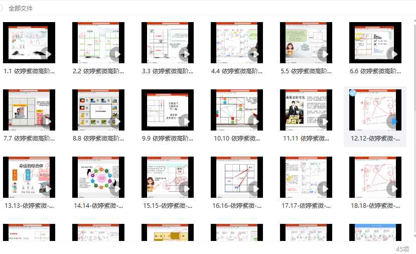 251136依婷最新《紫微斗数系统班》教学视频45集Y插图