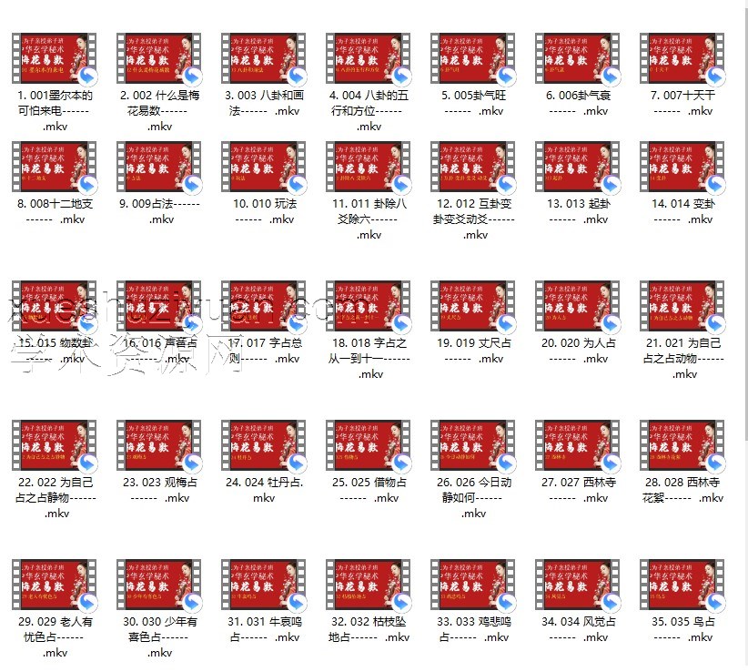 梅花易数_无为子亲授中国玄术弟子班49集插图