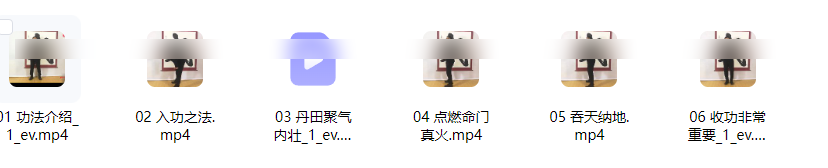 260531 丹田起火,真法难遇6集视频课Y插图 260531 丹田起火,真法难遇6集视频课Y插图