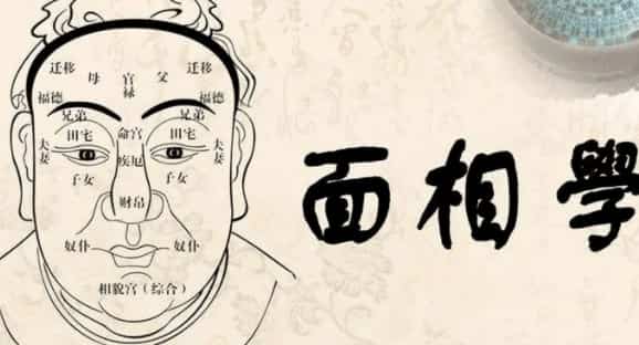 中国面相学入门视频14集插图