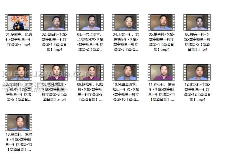 李斌数字能量一针疗法第二季插图