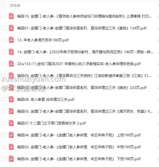 金镖门老人参盲派电子书13本大全集插图