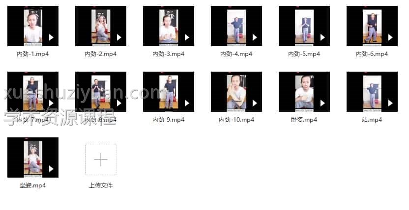 洞玄师道传承《金丹大功》视频13集插图 洞玄师道传承《金丹大功》视频13集插图