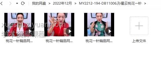 孙星云桃花一针3集视频教程插图1