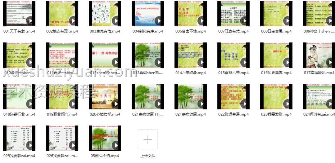 梁炜彬滴天髓学习资料-梁炜彬滴天髓内部特训班26集录像插图