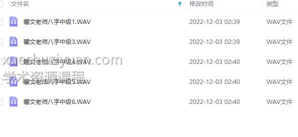 馨文老师八字 馨文老师八字中级课程录音合集插图