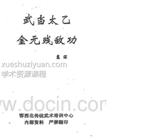 慧深 武当太乙金元残敌功插图