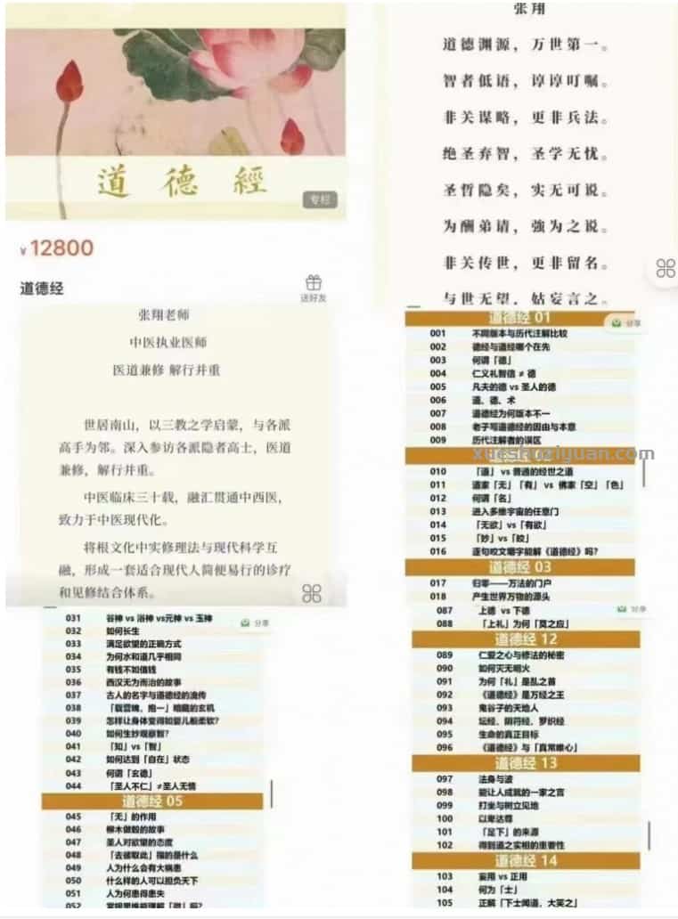 张翔道德经课程录音45集+资料pdf 百度网盘下载插图