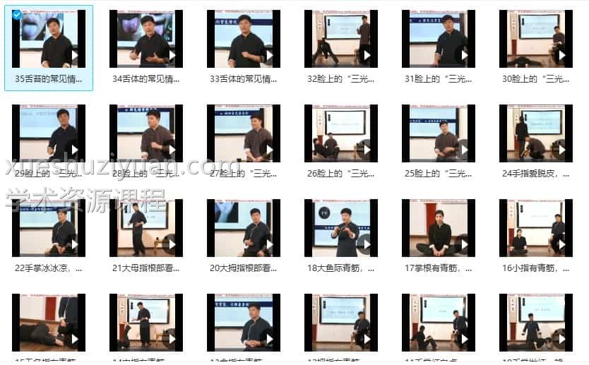 迷罗-中医智慧与瑜伽相结合手诊面诊舌诊特训营 35节视频插图