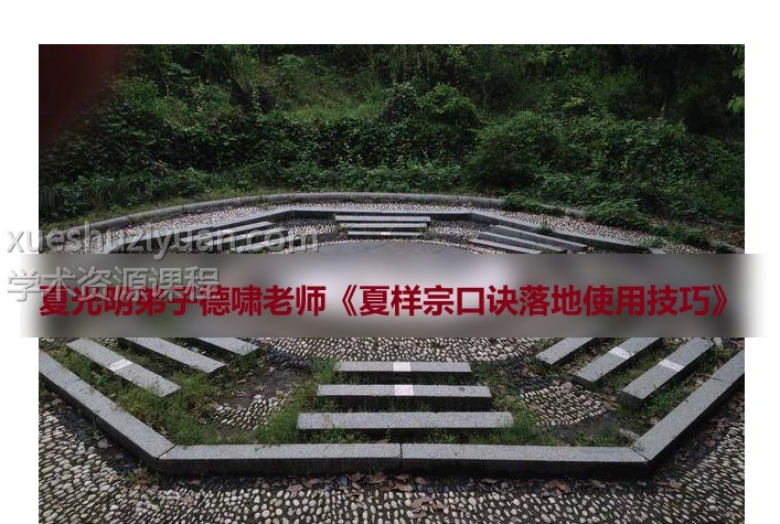 夏样宗口诀落地使用技巧 2集视频课程插图