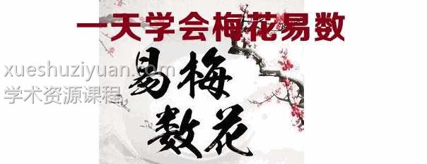 光明师亲授！《一天学会梅花易数》2集视频插图