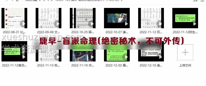 鹿早-盲派命理(绝密秘术，不可外传)插图