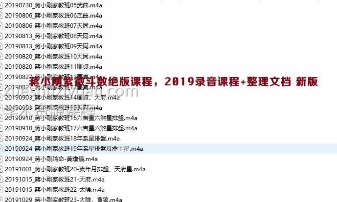 蒋小刚紫微斗数绝版课程，2019录音课程+整理文档插图