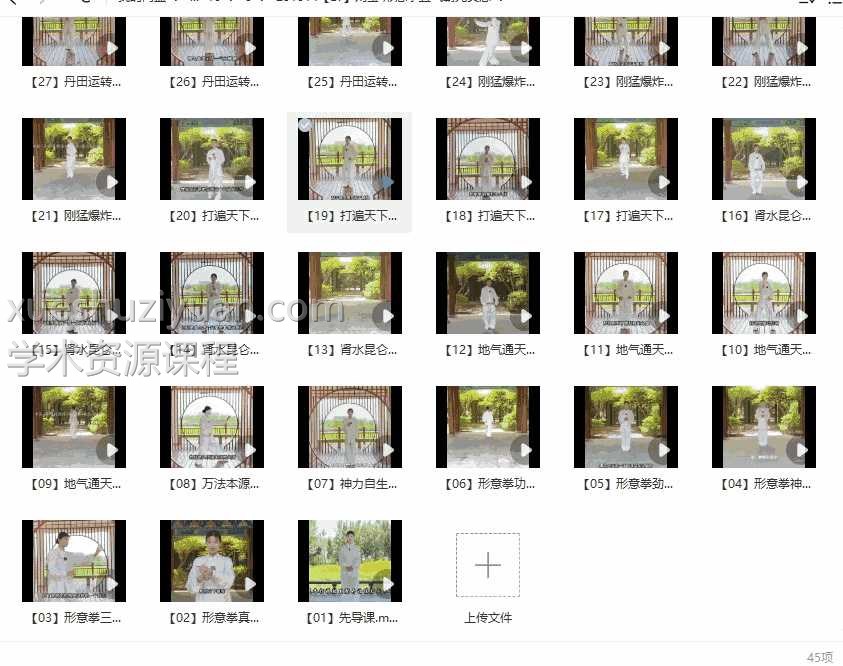 刘莹 形意拳五气朝元真意45集视频课程插图 刘莹 形意拳五气朝元真意45集视频课程插图