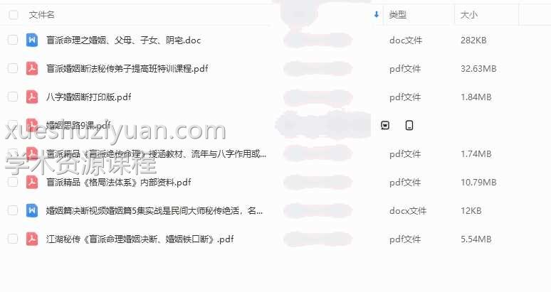 盲派以及其他八字 盲派资料文档资料 8份插图