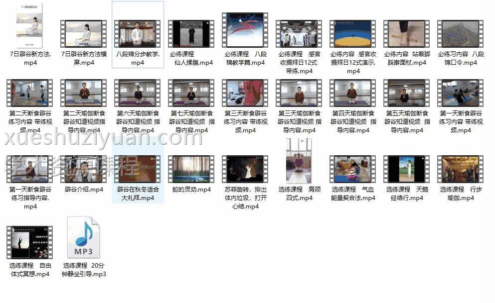 道家辟谷秘方休谷粉七天辟谷视频指导 瑜伽断食辟谷29集视频+音频插图