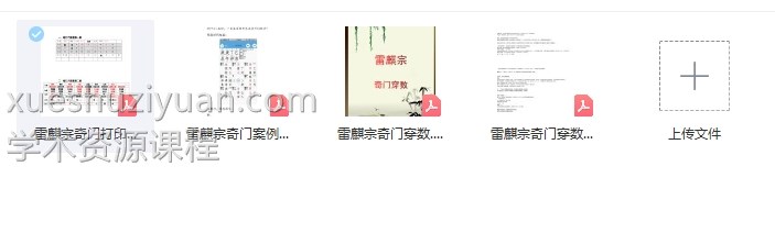 雷麟宗奇门穿数 雷麒宗插图1