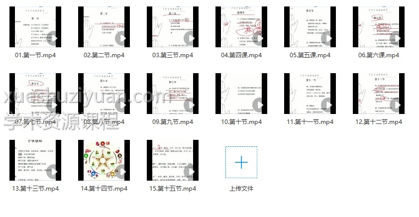 瀚海轩手诊手X系列课15视频插图
