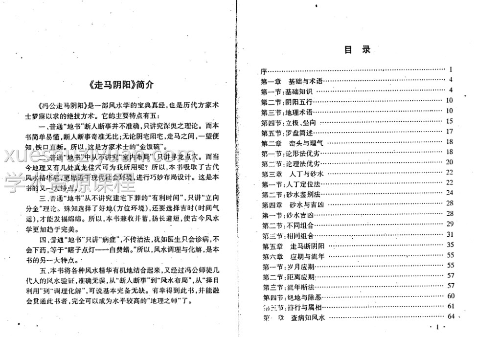 马化成 走马阴阳161PDF插图2