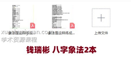 钱瑞彬 八字象法2本插图