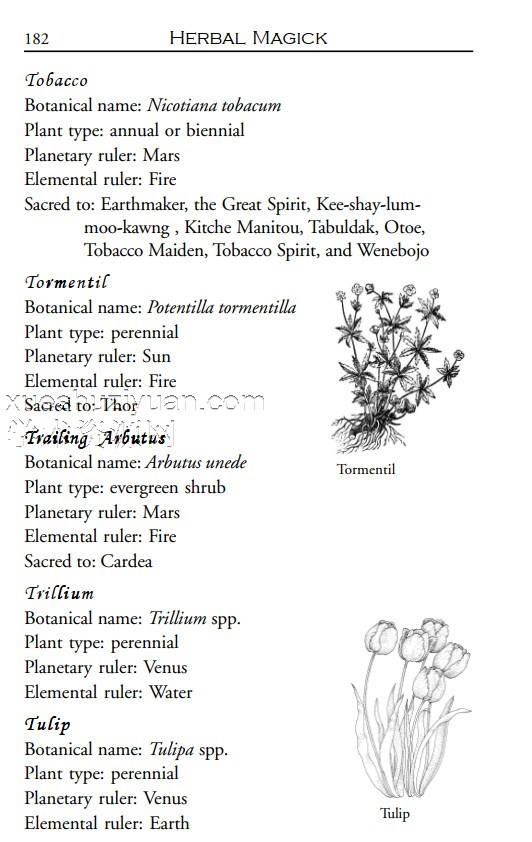 《魔法植物学》.pdf插图1