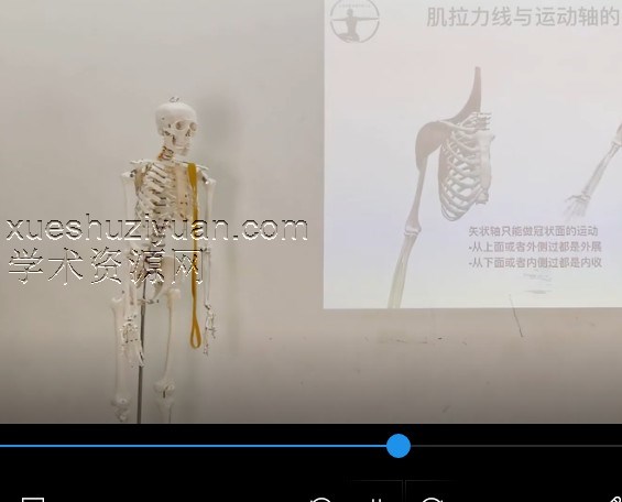 功能解剖-评估手法松解插图