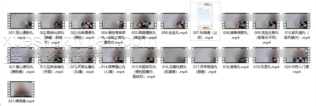 范泓涵:中药丸剂线上网课21集视频课程插图 范泓涵:中药丸剂线上网课21集视频课程插图