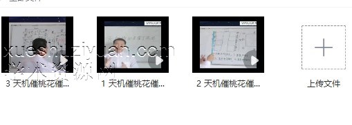 陈发辉天机催桃花催丁3集视频插图