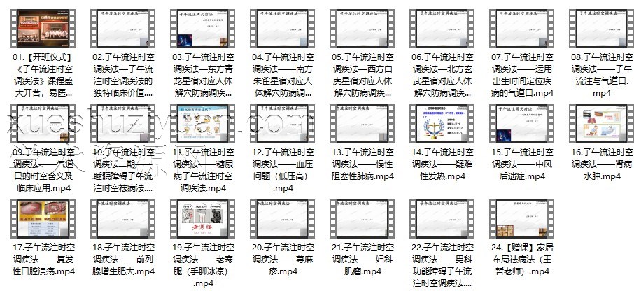 王哲-子午流注时空调疾术-23集理疗必学插图