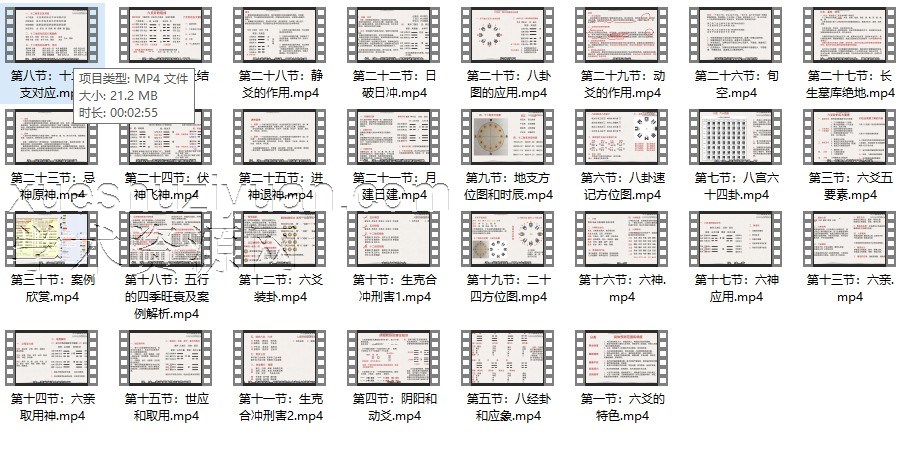 刘骏六爻初级课程30集插图