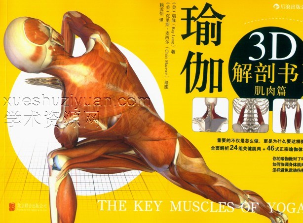 瑜伽3D解剖书-1(肌肉篇)0插图
