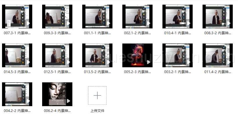 张林峰《上古大道之内景修炼神修丹法薪传》视频直播课14集插图