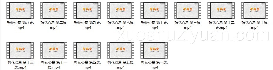 田至鹤梅花心易13集视频插图