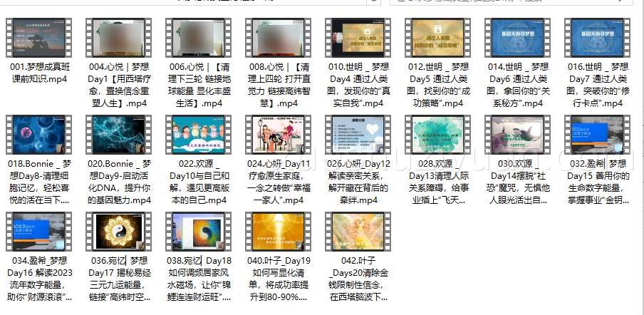 21天梦想成真显化班第21期 疗愈插图