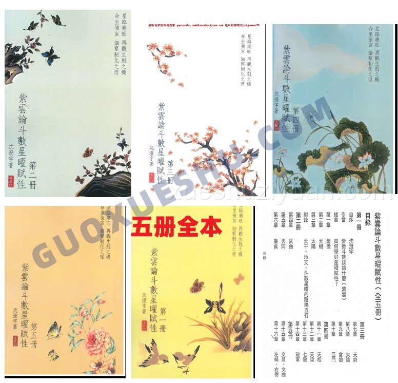 沈澄宇 紫云论斗数星曜赋性1-5册插图 沈澄宇 紫云论斗数星曜赋性1-5册插图